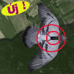 Racing 
Pigeon- GPS za golubove ...