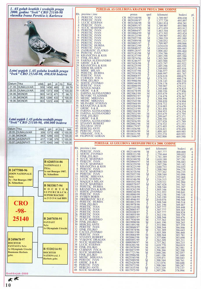 Racing 
Pigeon